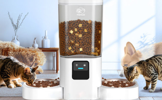 Frienhund Automatic Pet Feeder