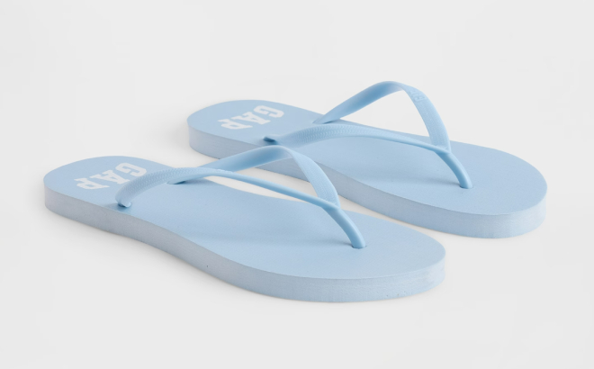 GAP Factory Flip Flops