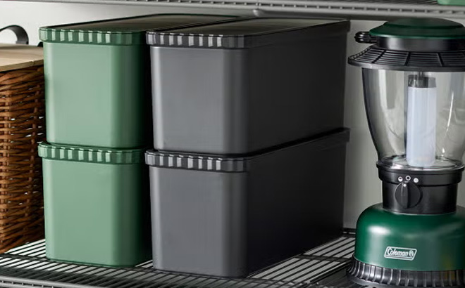 Like it Fluted Storage Organizer Bins