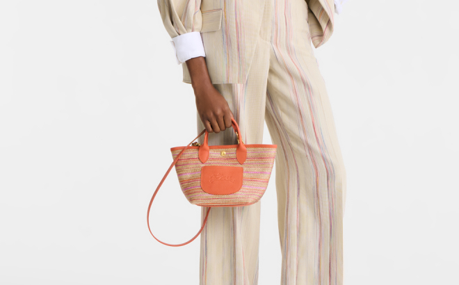 Longchamp Extra Small Le Pliage Panier Rainbow Top Handle Bag Longchamp Extra Small Le Pliage Panier Rainbow Top Handle Bag