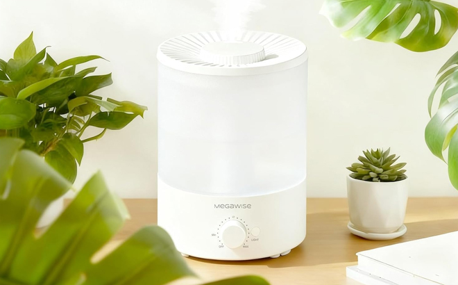 Megawise 3 5L Cool Mist Humidifier