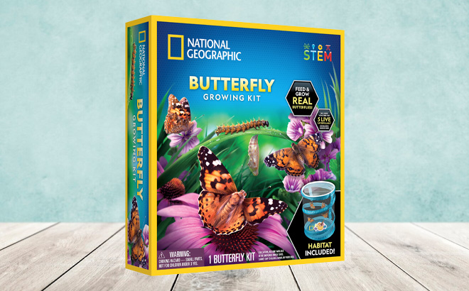 National Geographic Butterfly Growing Kit on the Table