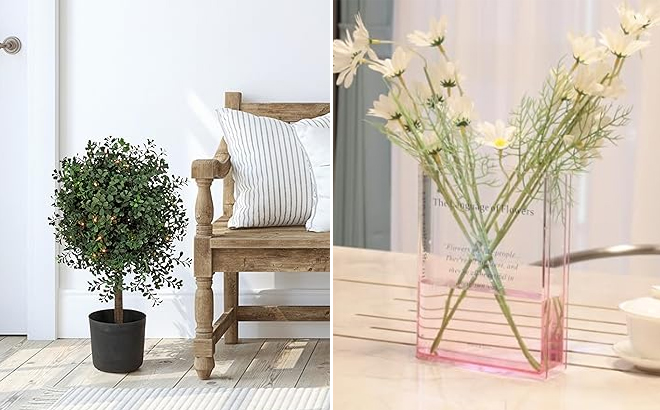 National Tree Company 2 ft Prelit Artificial Boxwood Single Ball Topiary and 2 Pack Acrylic Book Style Vases