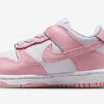 Nike Dunk Girls Toddler Shoes