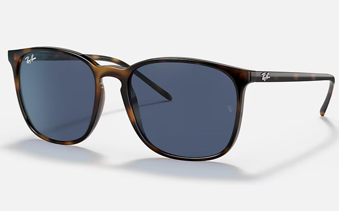 Ray Ban RB4387 Sunglasses Ray Ban RB4387 Sunglasses