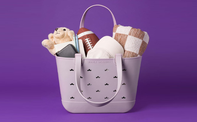 Simple Modern Disney Large Beach Bag