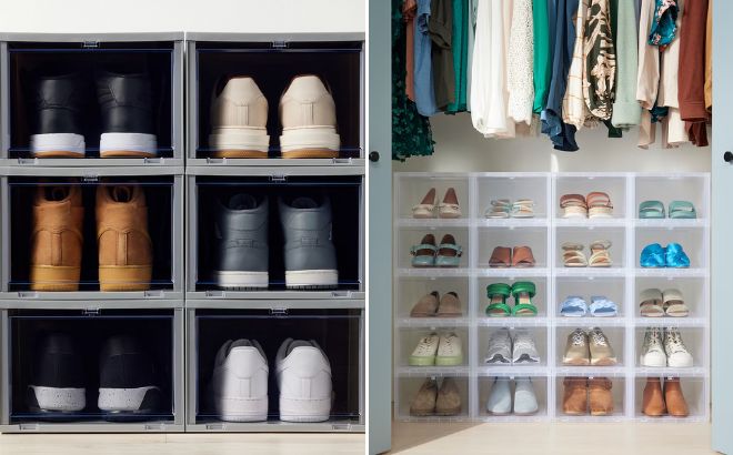 The Container Store Best Value Case 6 Piece Drop Front Shoe Box