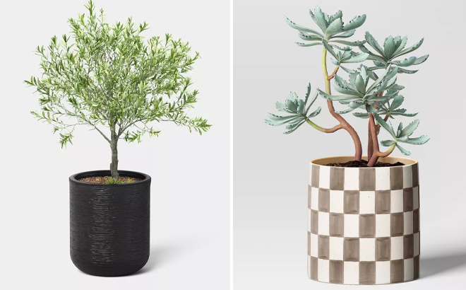 Threshold Fluted Outdoor Planter and Checker Stoneware Indoor Outdoor Planter Pot