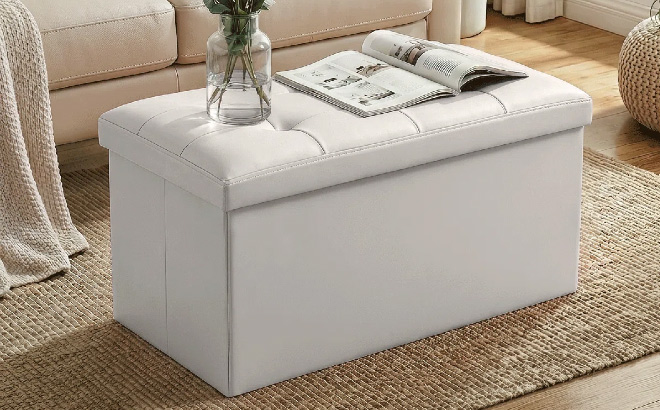 Upholstered Storage Bench Ottoman