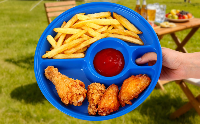 A Person Holding Ozark Trail Picnic Try Camping Plate