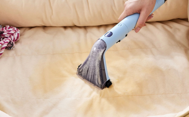 A Person Using a Tineco GO Spot Deep Carpet Cleaner to Clean a Rug
