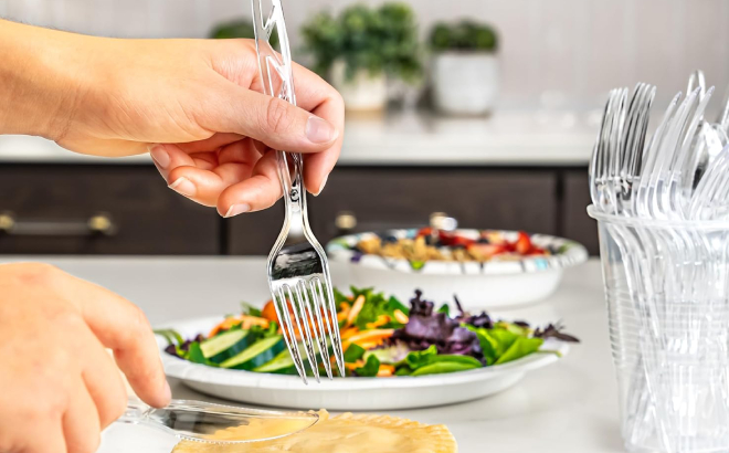 Amazon Basics Disposable Clear Plastic Cutlery