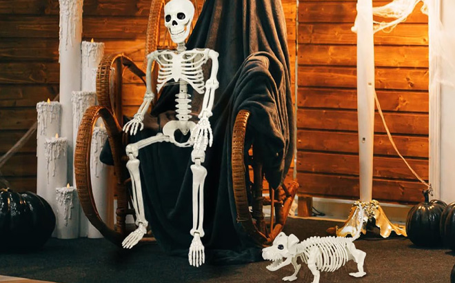 Ayieyill 2 Pieces Skeleton and Dog Halloween Decor
