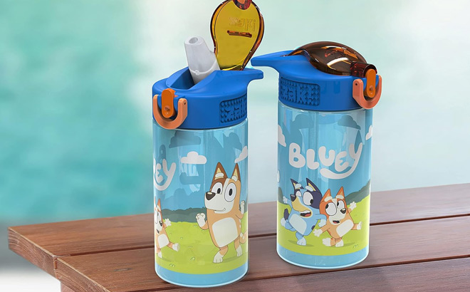 Bluey Kids Water Bottle 2 Pack