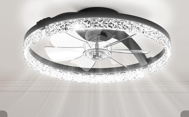 Ceiling Fan with Lights