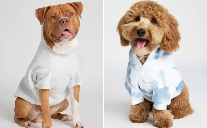 Comfrt Minimalist Paw Hoodies