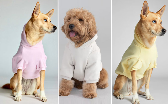 Comfrt Tranquil Paw Hoodie and Comfrt Minimalist Paw Hoodies