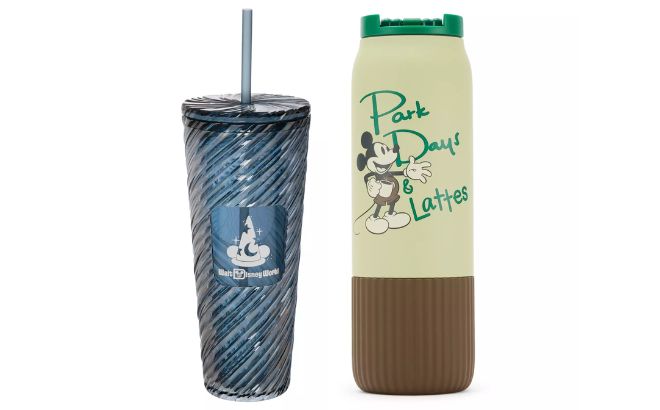 Disney Mickey Mouse Sorcerers Apprentice 24oz Starbucks Travel Tumbler and Mickey Mouse x Starbucks 20oz Stainless Steel Water Bottle