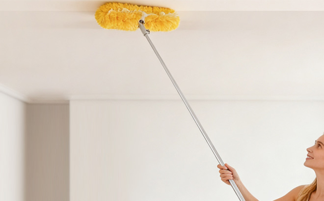 GTSSGTR Extendable Duster Handle GTSSGTR Extendable Duster Handle