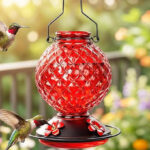 Glass Hummingbird Feeder