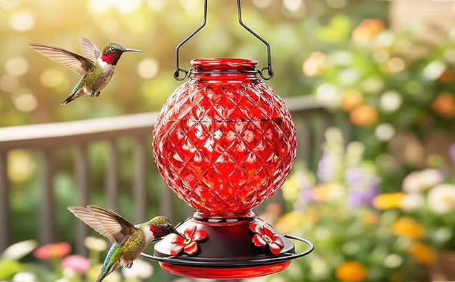 Glass Hummingbird Feeder