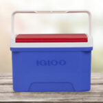 Igloo 9 Quart Laguna Ice Chest Cooler on the Table