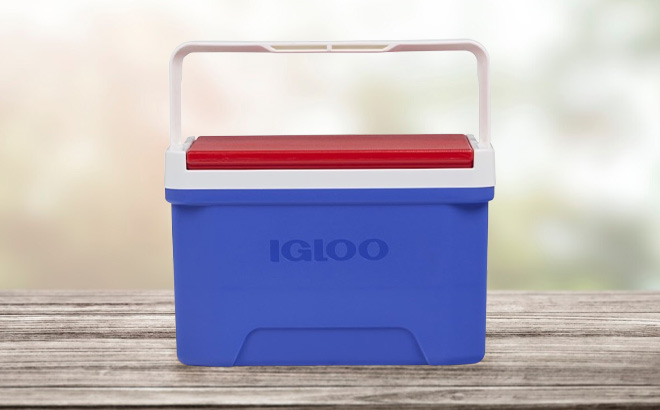 Igloo 9 Quart Laguna Ice Chest Cooler on the Table
