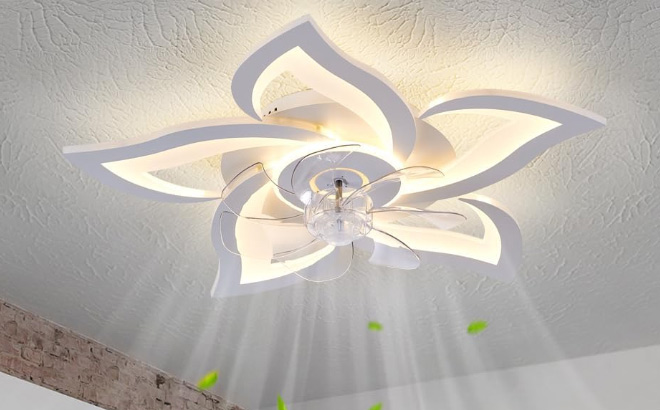 Modern Ceiling Fan with Lights