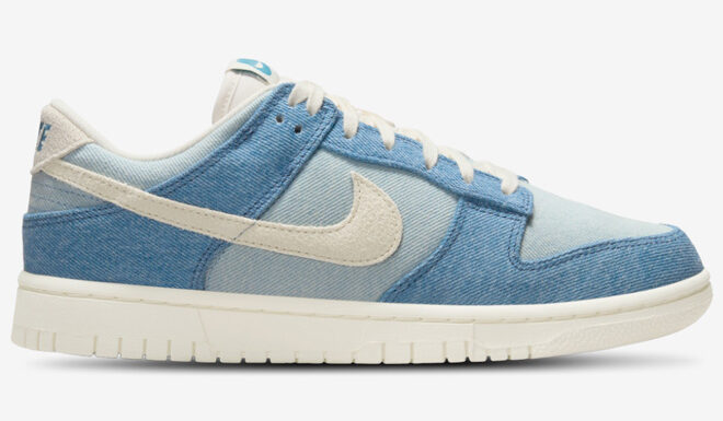 Nike Dunk Low Womens Shoe
