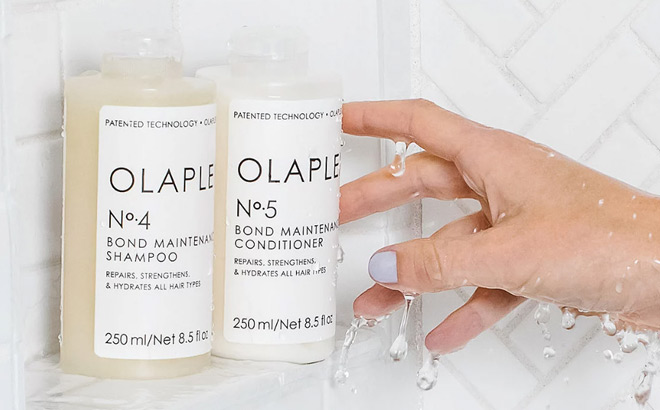 Olaplex Bond Maintenance Shampoo and Conditioner