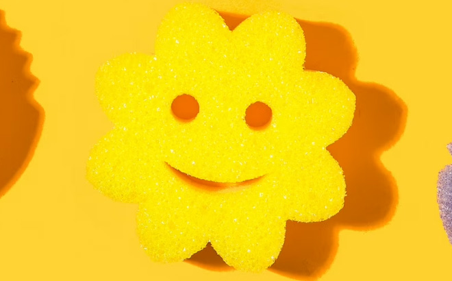 Scrub Mommy Daddy Power Flower Sponge