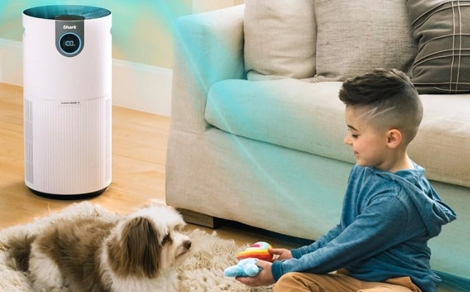Shark HEPA Air Purifier MAX Clean Sense in Use
