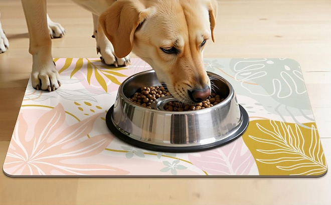 Topotdor Dog Food Mat Topotdor Dog Food Mat