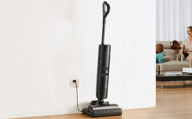 Wet Dry Vacuum Cleaner