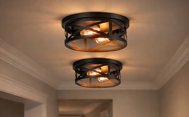 11 Inch Indoor 2 Light Flush Mount Light 2 Pack 11 Inch Indoor 2 Light Flush Mount Light 2 Pack