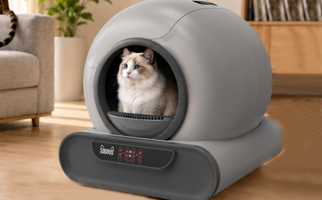 A Cat in the Ziluce Self Cleaning Litter Box