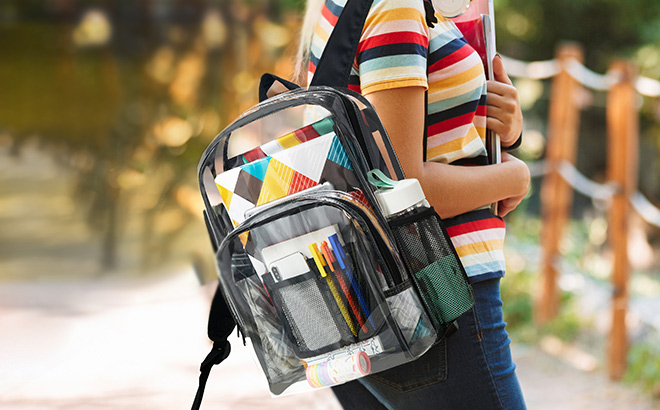 A Person Holding Vorspack Clear Backpack