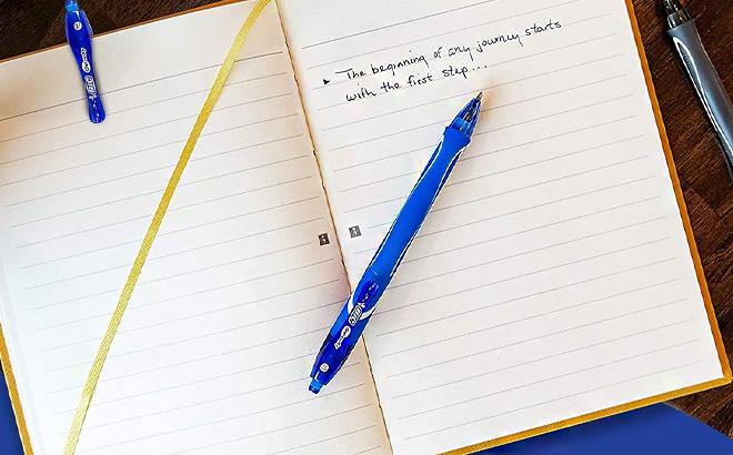 BIC Gelocity Quick Dry Blue Gel Pens 12 Count
