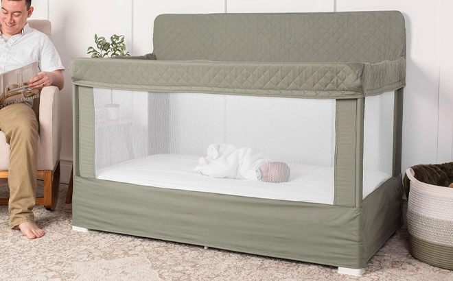 Baby Delight Lunaire Organic Full Size Crib Baby Delight Lunaire Organic Full Size Crib