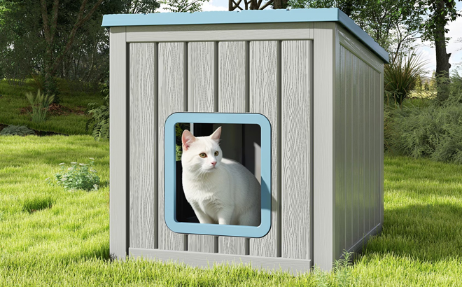 Bifanuo Outdoor Cat House Bifanuo Outdoor Cat House