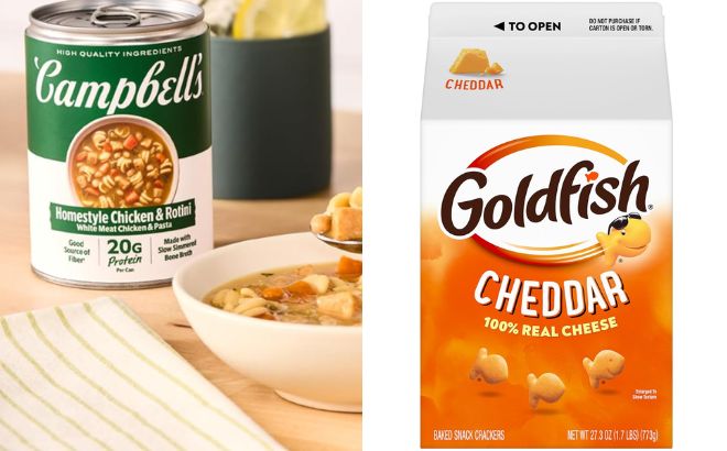 Campbells Protein Homestyle Chicken and Rotini Soup and Goldfish Cheddar Cheese Crackers