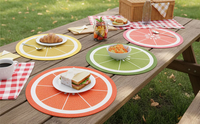 Celebrate Together Summer 4 Pack Fruit Slice Embroidered Placemats