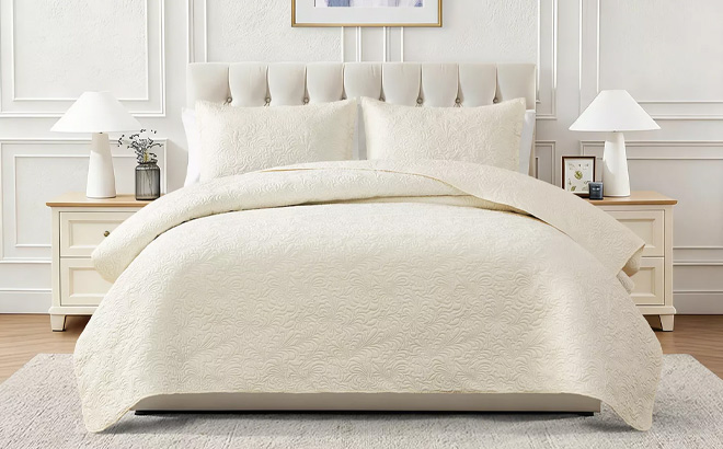 Chelsea Loft Pinsonic Floral Embossed 3 Piece Quilt Set in Off White