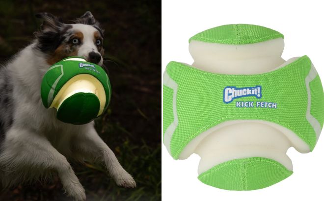 Chuckit Max Glow Kick Fetch Dog Ball Chuckit Max Glow Kick Fetch Dog Ball