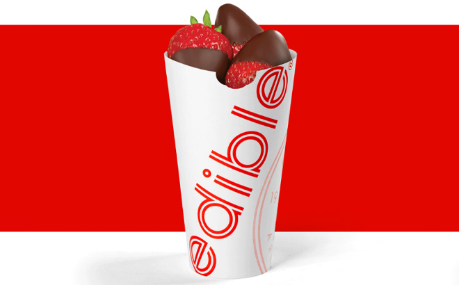 Edible Chocolate Dipped Fruit Cone