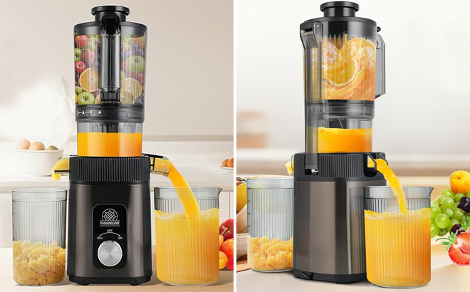 FabDeluxe Cold Press Juicer FabDeluxe Cold Press Juicer