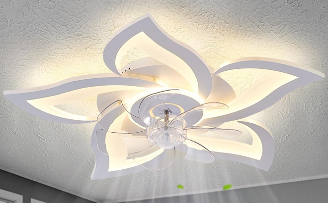 Flower Modern Ceiling Fan Flower Modern Ceiling Fan