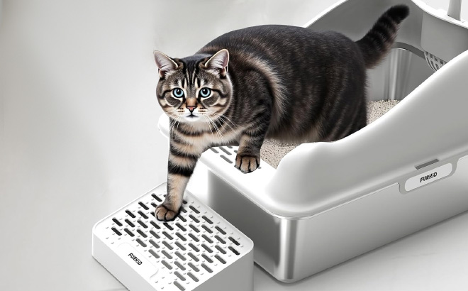 High Sided Cat Litter Pan High Sided Cat Litter Pan