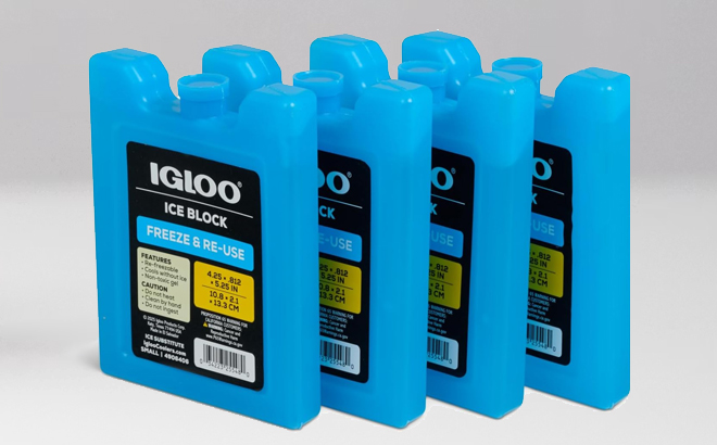 Iglo Ice Block 4 Pack