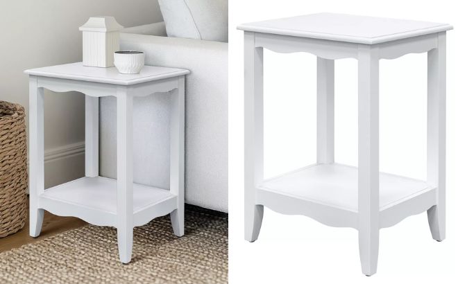 Madison Park Elanor End Table with Storage Shelf